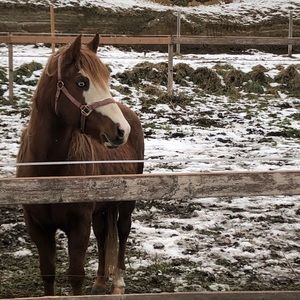 Meet your Posher, Veronique